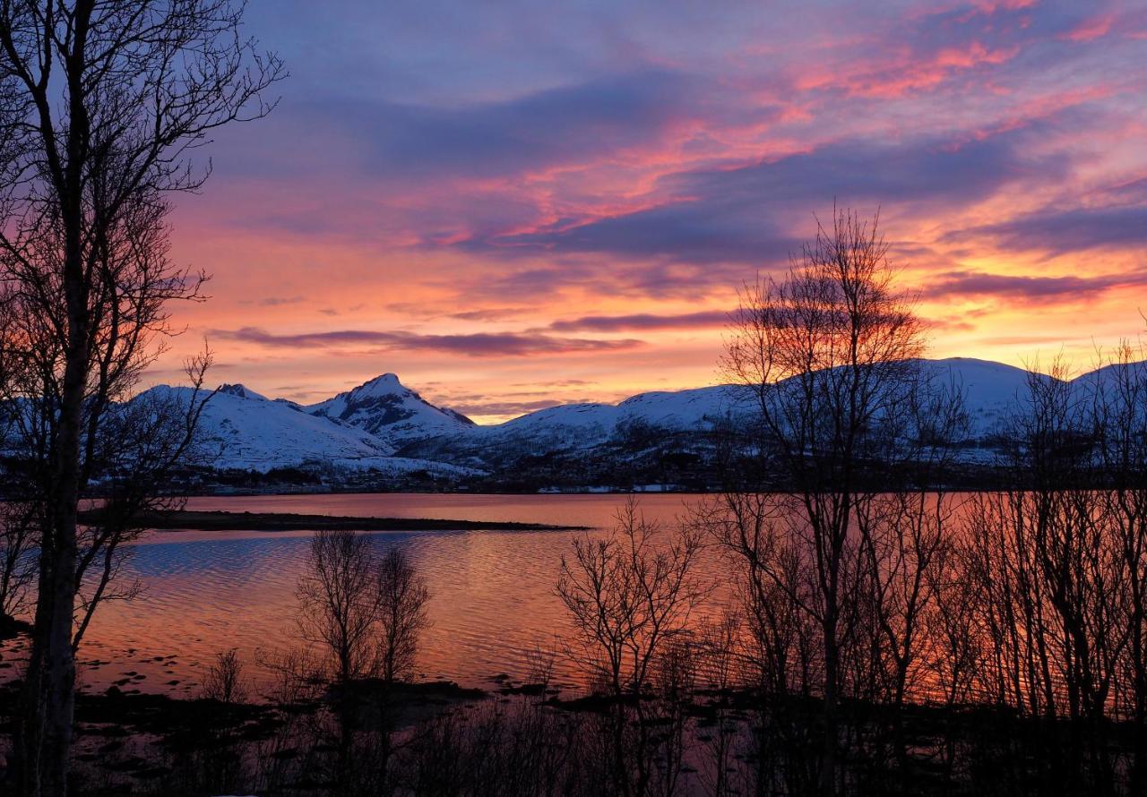 Hakoya Lodge Tromsø Eksteriør billede