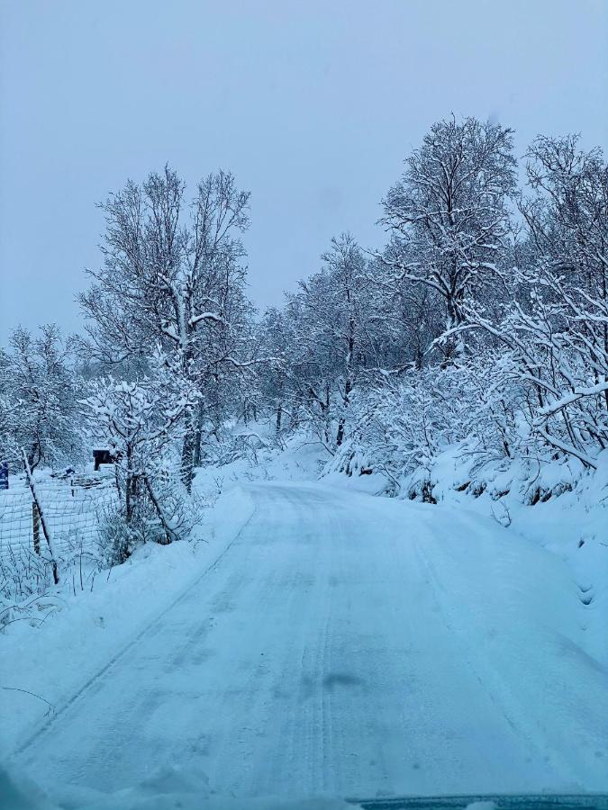 Hakoya Lodge Tromsø Eksteriør billede