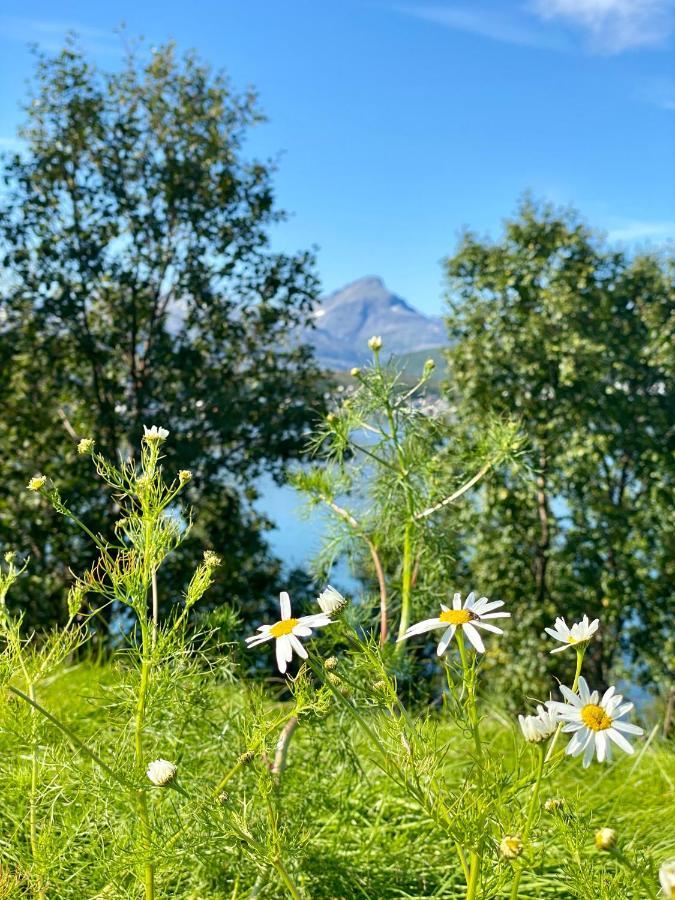 Hakoya Lodge Tromsø Eksteriør billede