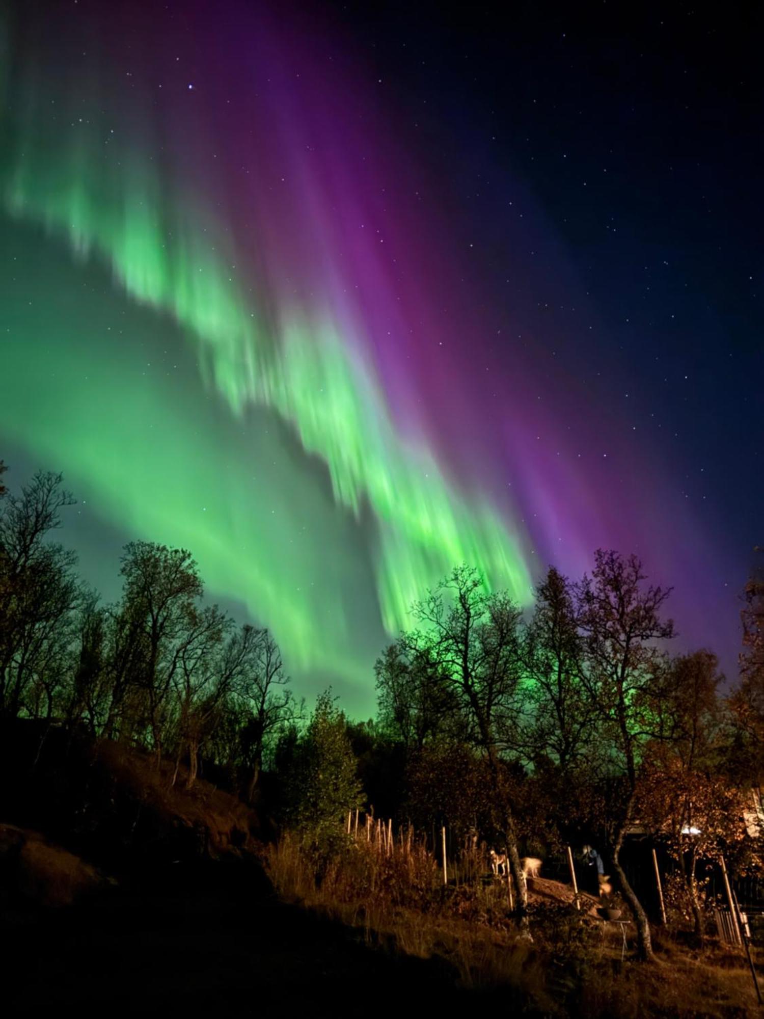 Hakoya Lodge Tromsø Eksteriør billede