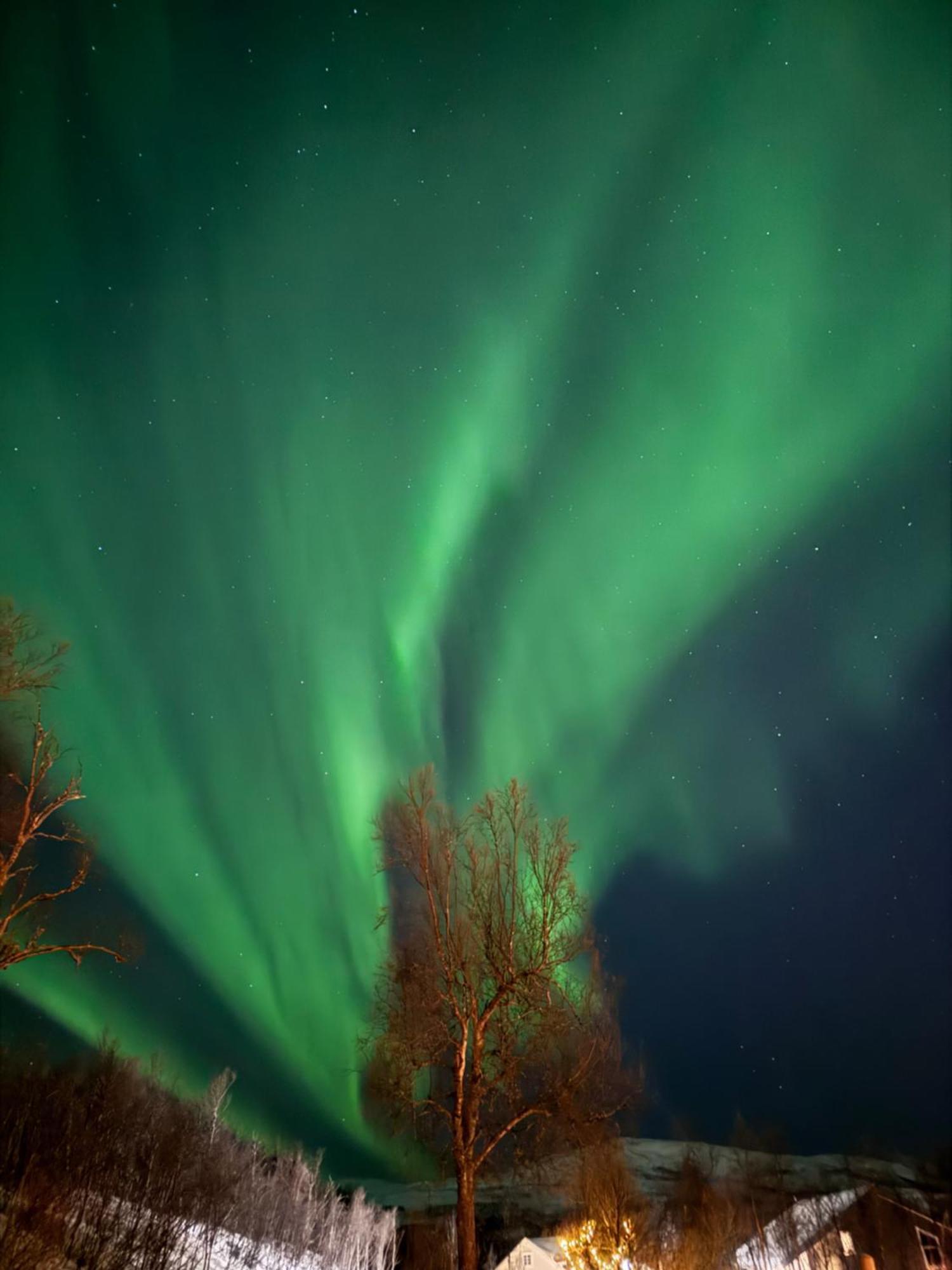 Hakoya Lodge Tromsø Eksteriør billede